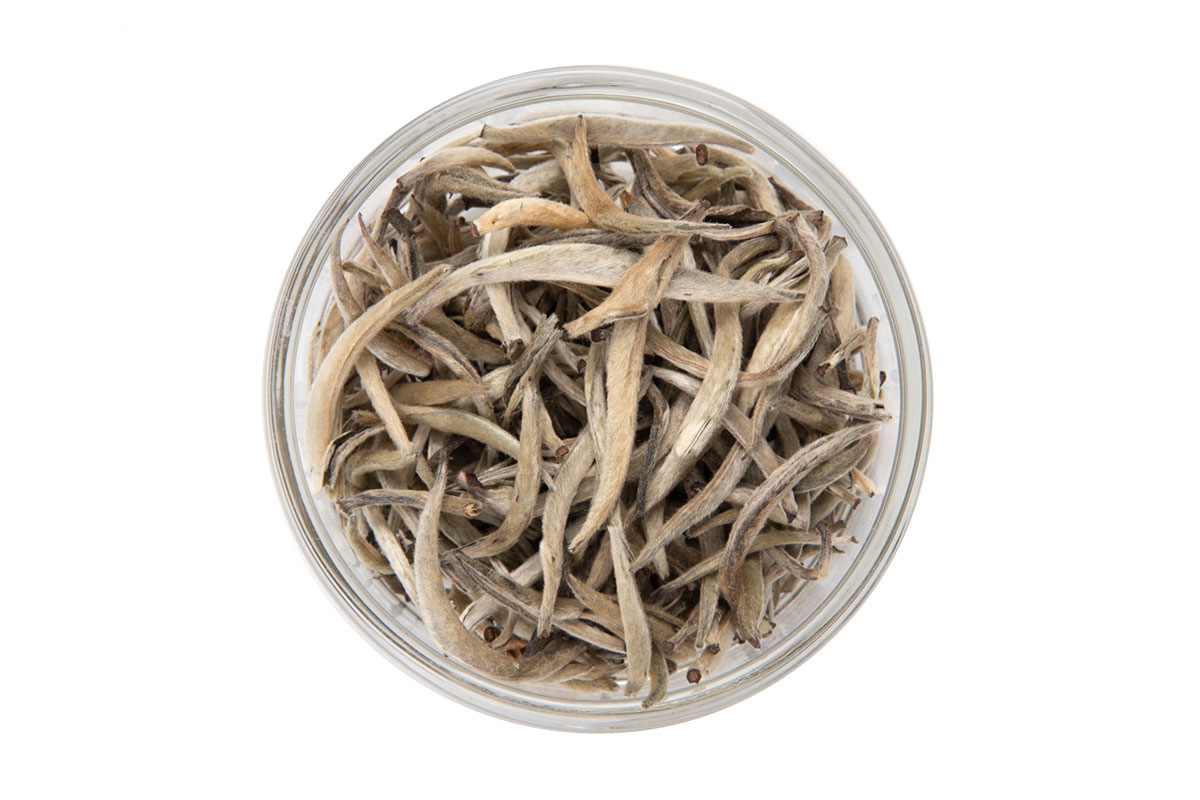 AVANTCHA-Silver-Needle