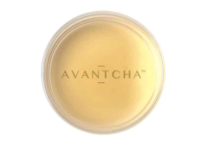 Gold-green herbal lavender infusion