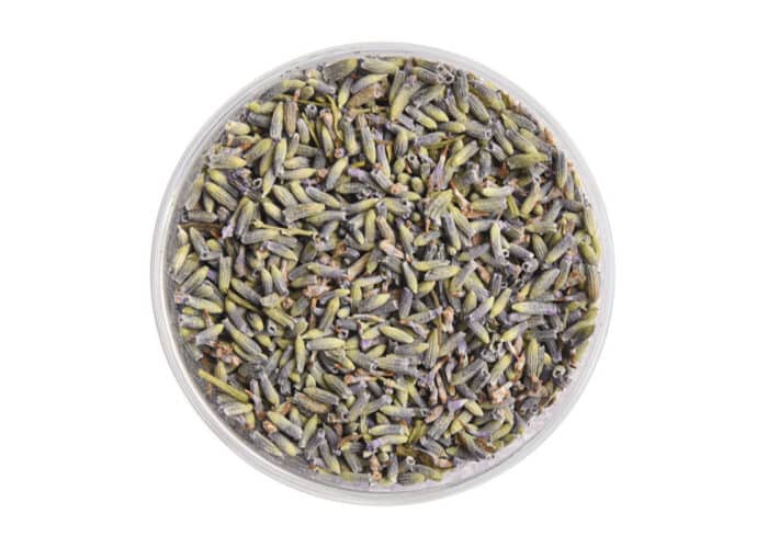 Whole buds of French Lavender Blossoms from Provence - AVANTCHA Flower Tea