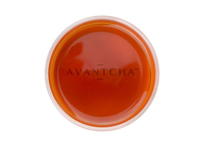 Rare highest quality Vintage Pu Erh Tea from AVANTCHA